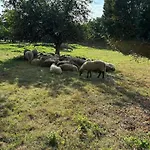Bocage A Διαμέρισμα *
